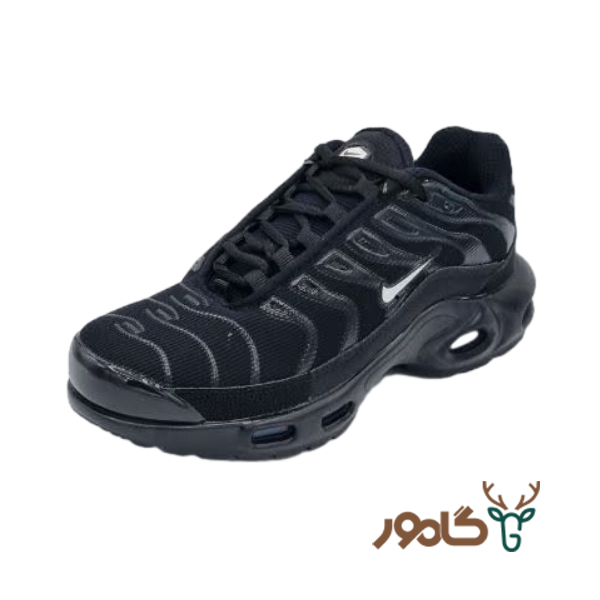 تی ان نایک
